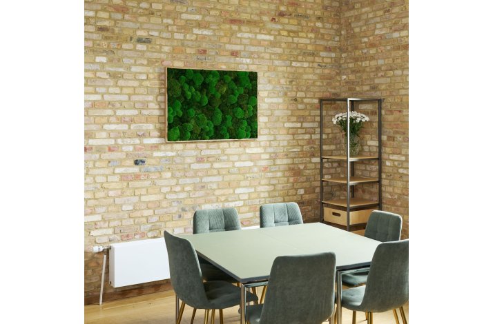 Mosbilleder med mosmix 